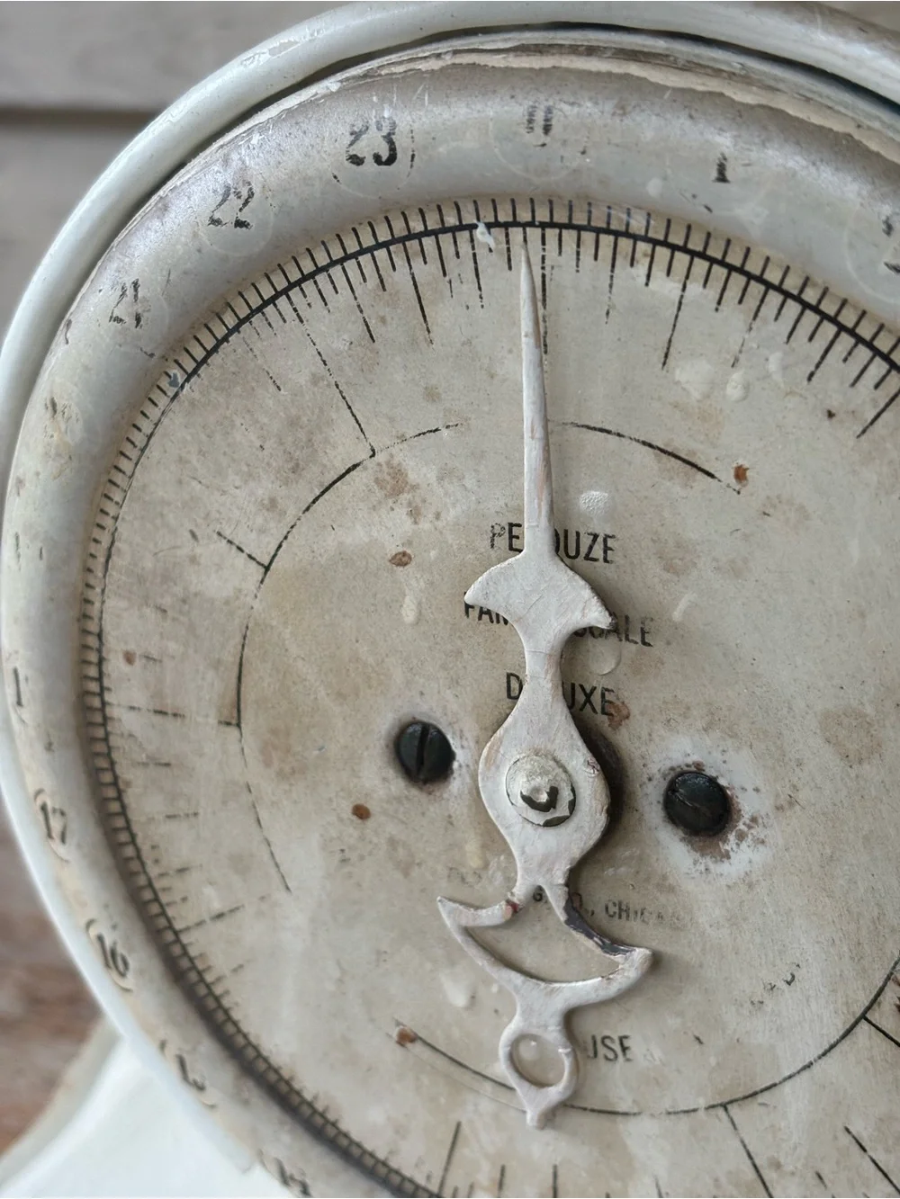 VTG Pelouze Family Scale typically used for kitchen or household weighing
